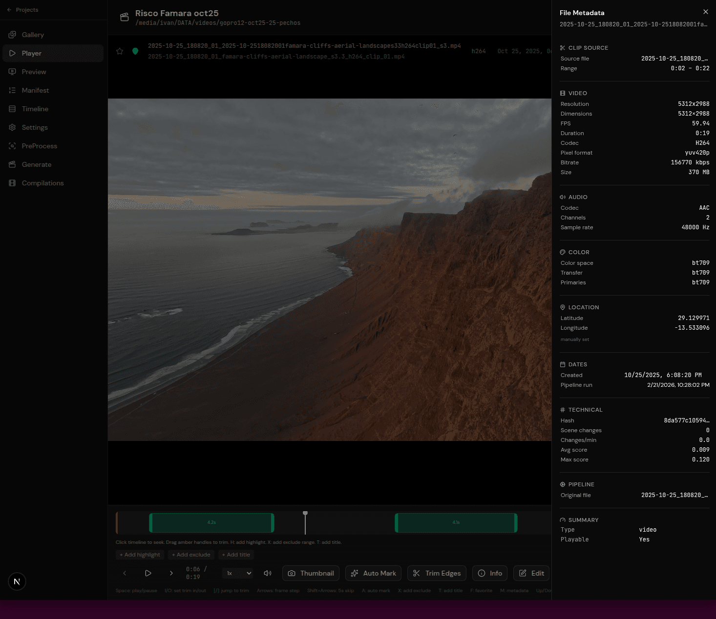 Video player with playback controls
